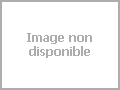 Art St�atite