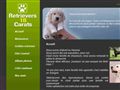 18 carats retriever